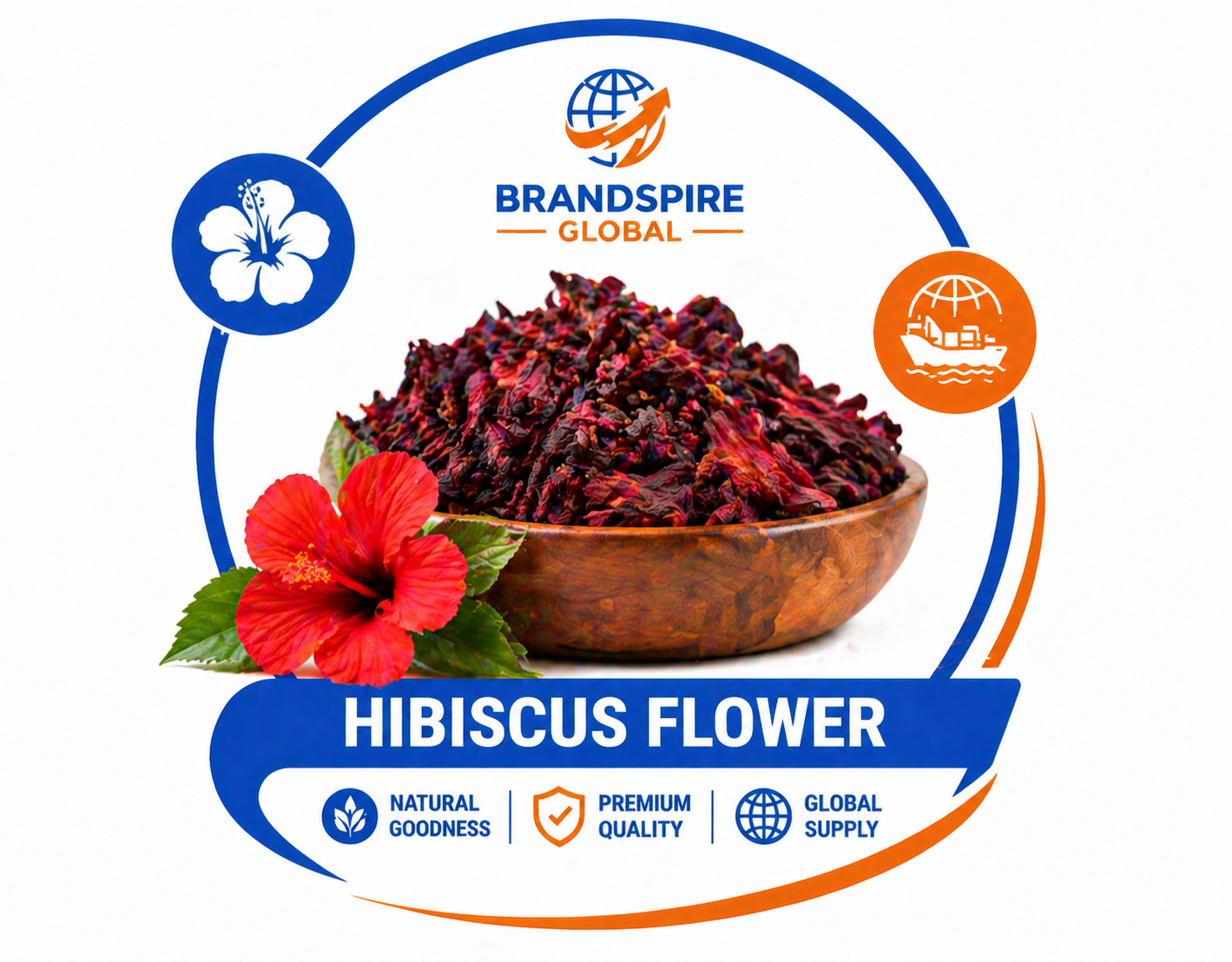 Hisbiscus Flower Brandspireglobal