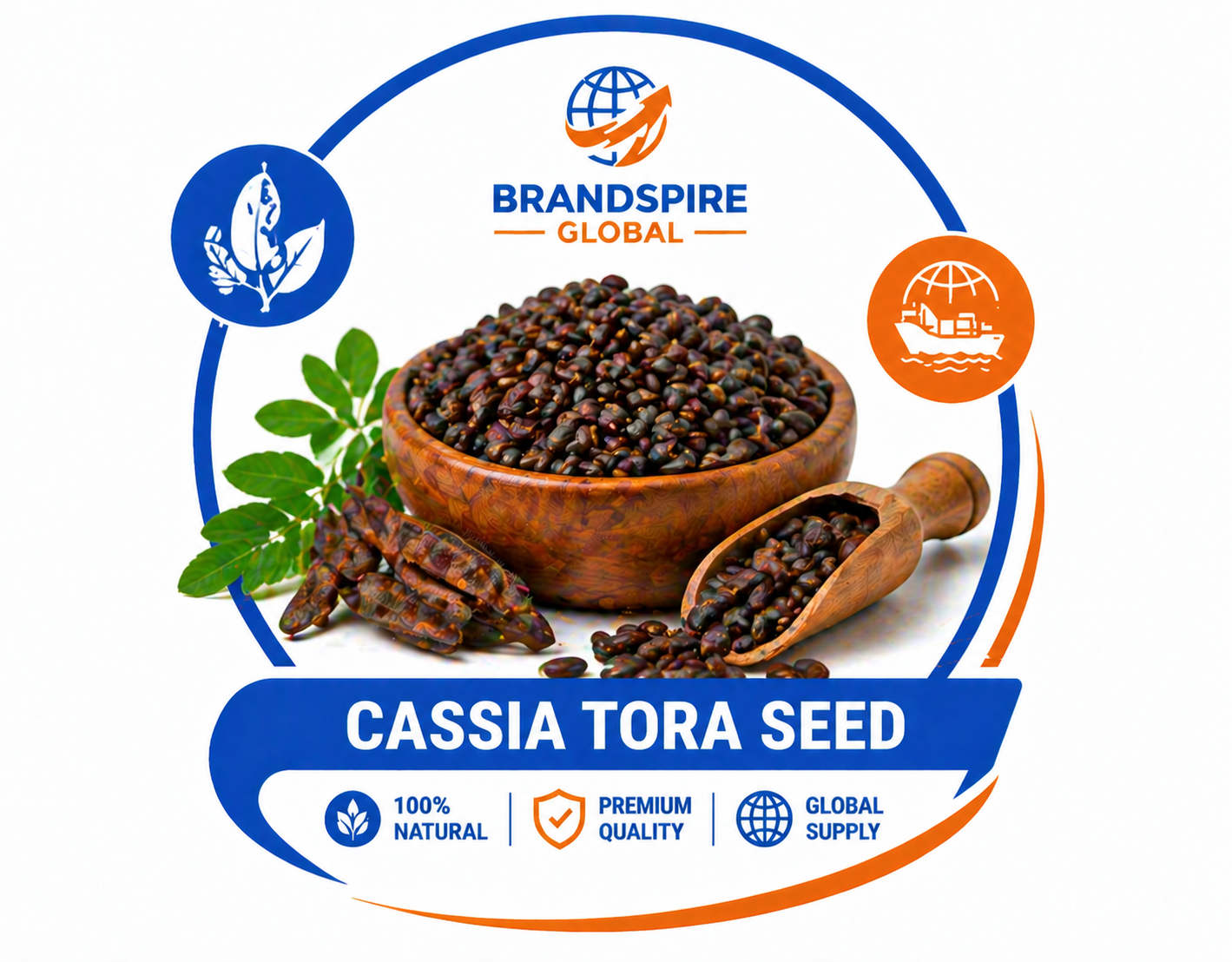 Cassia Tora Seed Brandspireglobal